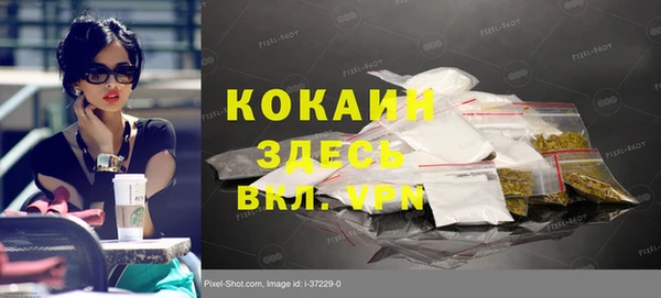 ГАЛЛЮЦИНОГЕННЫЕ ГРИБЫ Белокуриха