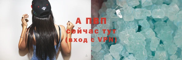 ГАЛЛЮЦИНОГЕННЫЕ ГРИБЫ Белокуриха