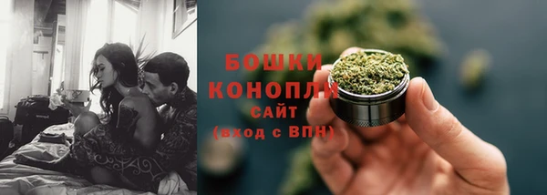 ГАЛЛЮЦИНОГЕННЫЕ ГРИБЫ Белокуриха