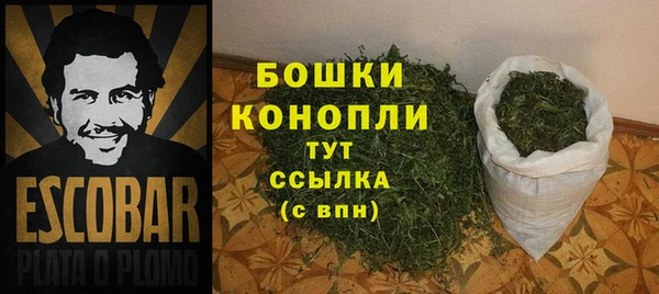 мдпв Богородицк