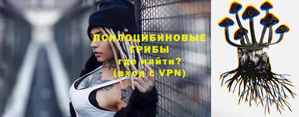 гидропоника Богданович