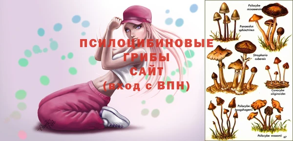гидропоника Богданович